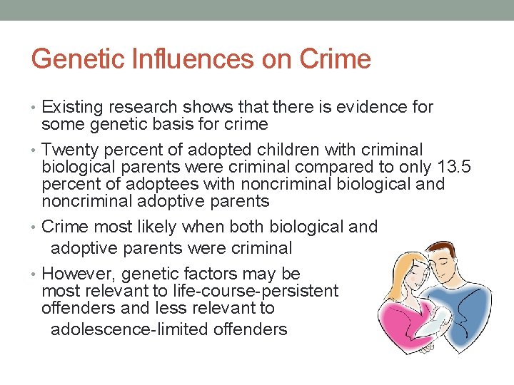 Genetic Influences on Crime • Existing research shows that there is evidence for some