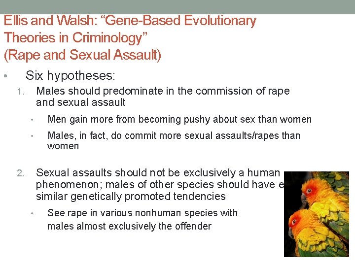 Ellis and Walsh: “Gene-Based Evolutionary Theories in Criminology” (Rape and Sexual Assault) Six hypotheses: