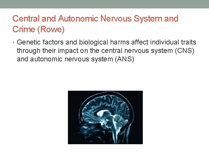 Central and Autonomic Nervous System and Crime (Rowe) • Genetic factors and biological harms