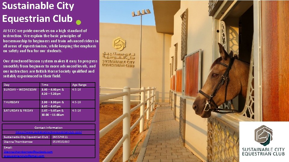 Sustainable City Equestrian Club At SCEC we pride ourselves on a high standard of