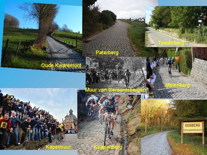 Taaienberg Paterberg Oude Kwaremont Muur van Geraardsbergen Kapelmuur Koppenberg Molenberg 