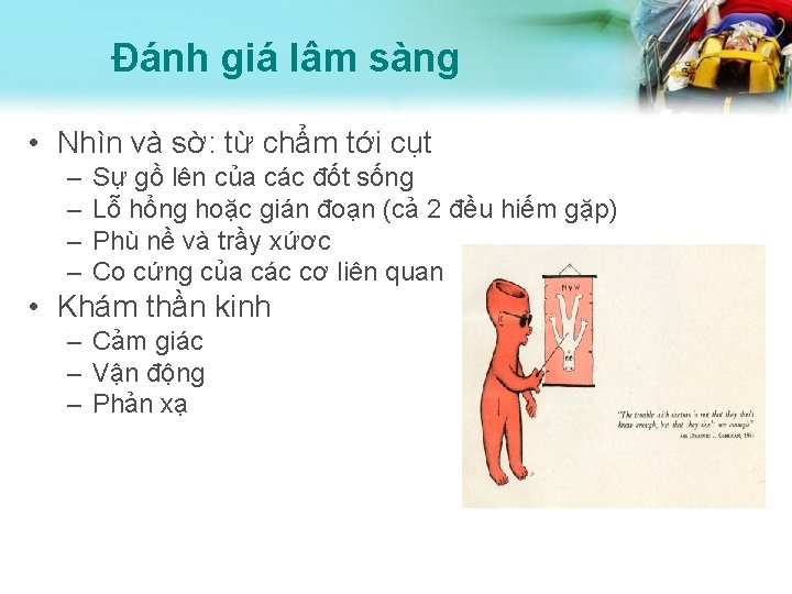 Đánh giá lâm sàng • Nhìn và sờ: từ chẩm tới cụt – –