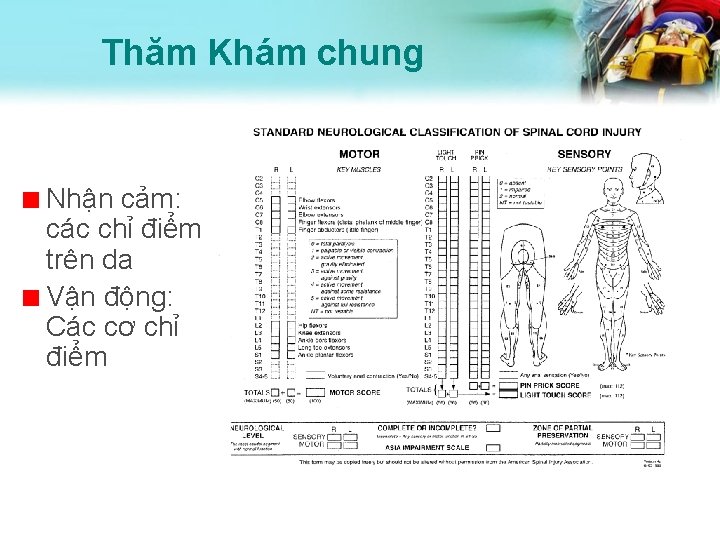 Thăm Khám chung Nhận cảm: các chỉ điểm trên da Vận động: Các cơ