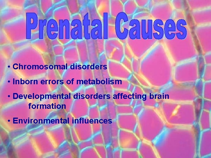  • Chromosomal disorders • Inborn errors of metabolism • Developmental disorders affecting brain