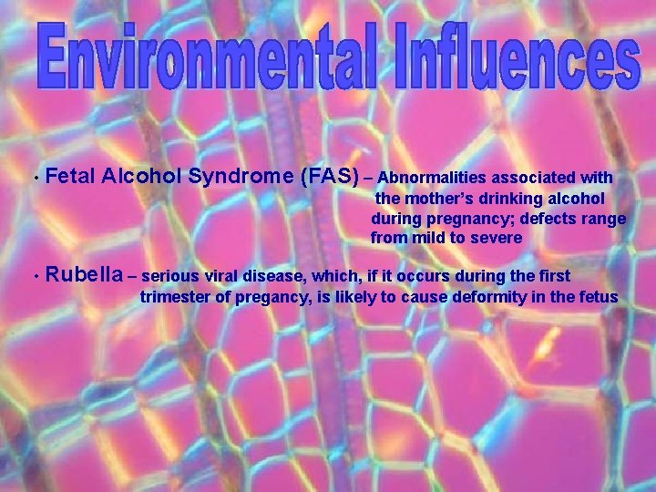  • Fetal Alcohol Syndrome (FAS) – Abnormalities associated with the mother’s drinking alcohol