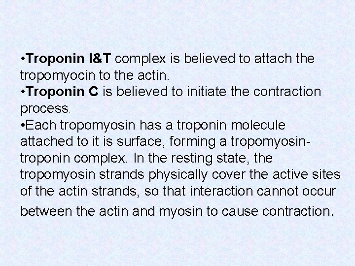  • Troponin I&T complex is believed to attach the tropomyocin to the actin.