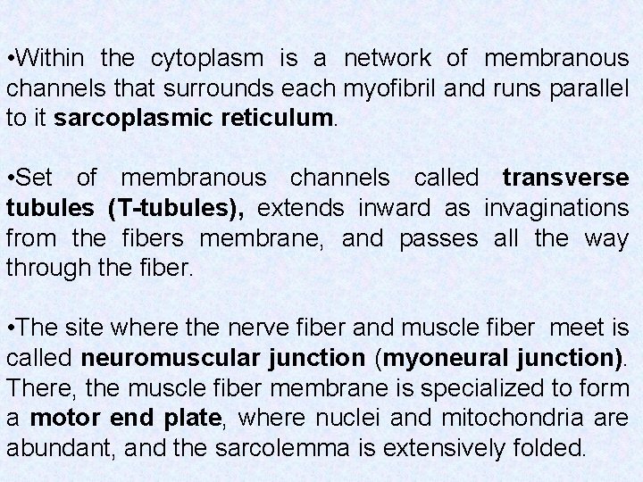  • Within the cytoplasm is a network of membranous channels that surrounds each