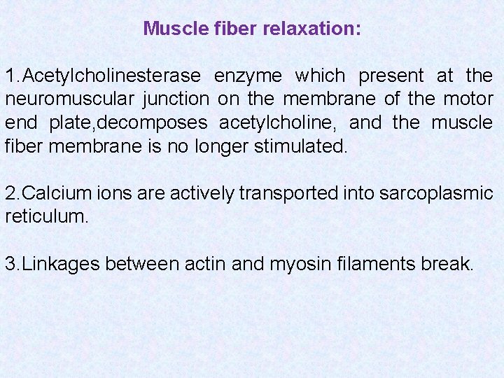 Muscle fiber relaxation: 1. Acetylcholinesterase enzyme which present at the neuromuscular junction on the