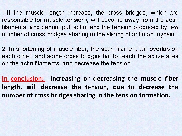 1. If the muscle length increase, the cross bridges( which are responsible for muscle