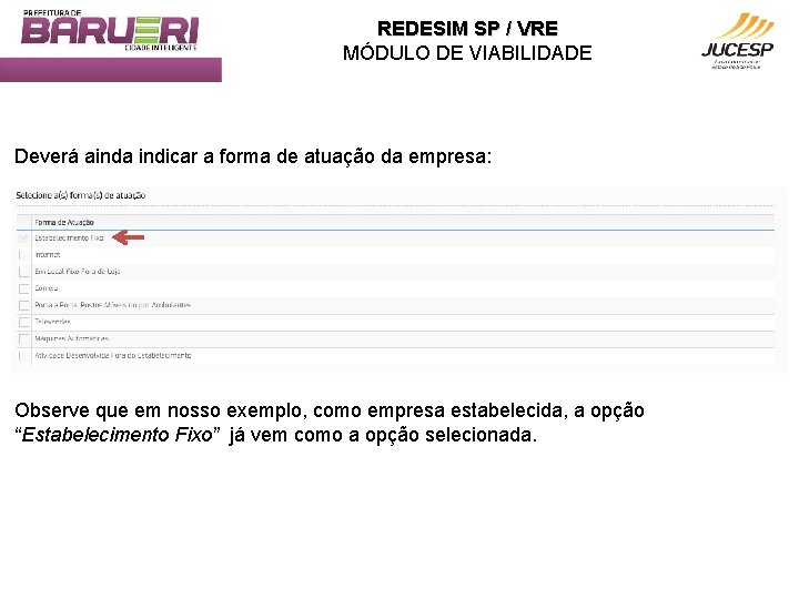 REDESIM SP / VRE MÓDULO DE VIABILIDADE Deverá ainda indicar a forma de atuação