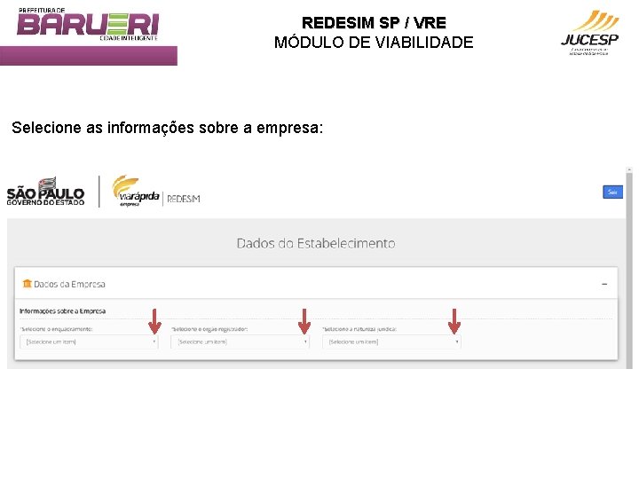 REDESIM SP / VRE MÓDULO DE VIABILIDADE Selecione as informações sobre a empresa: 