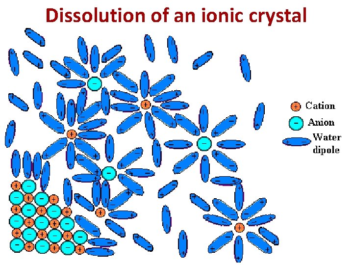 Dissolution of an ionic crystal 