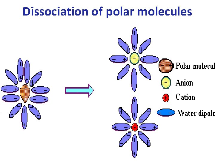 Dissociation of polar molecules 