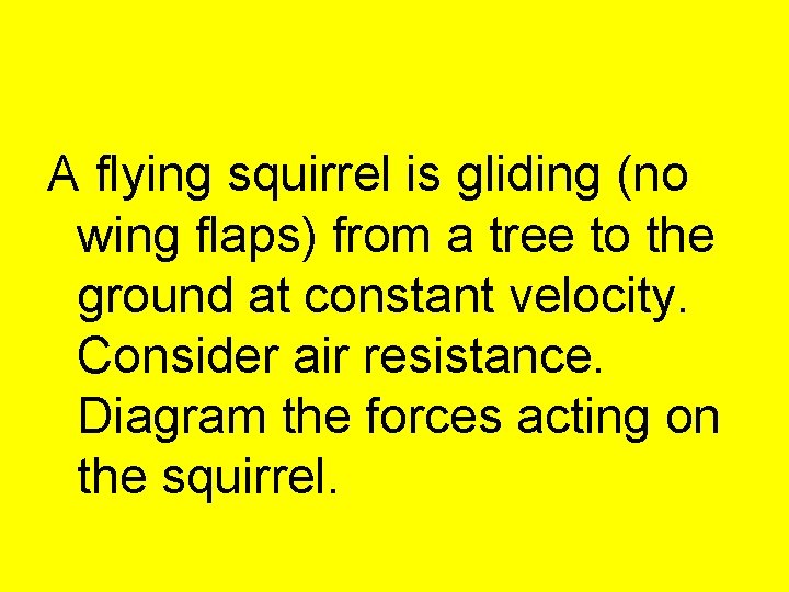 A flying squirrel is gliding (no wing flaps) from a tree to the ground