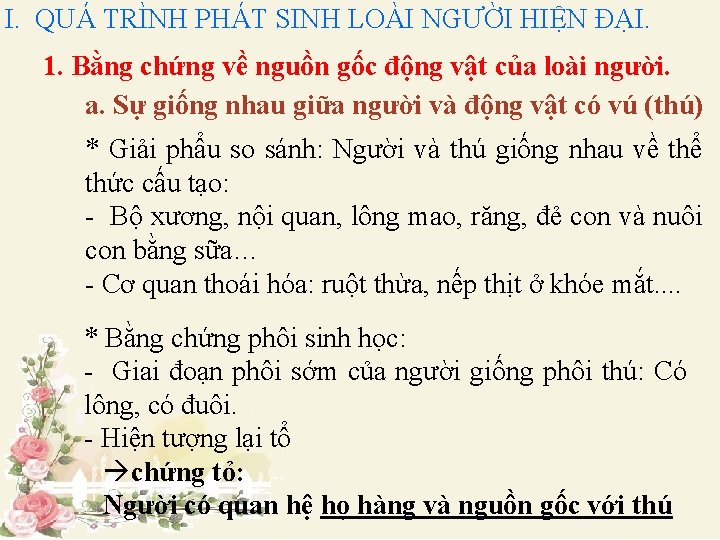 I. QUÁ TRÌNH PHÁT SINH LOÀI NGƯỜI HIỆN ĐẠI. 1. Bằng chứng về nguồn