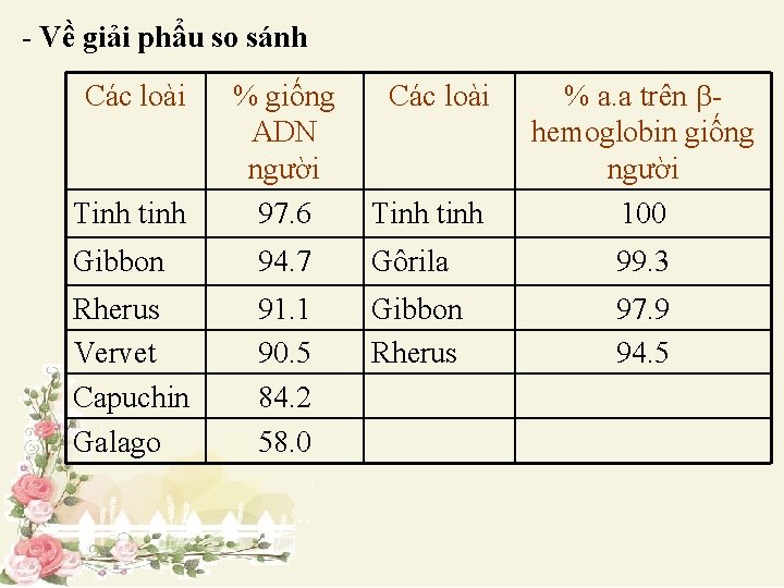 - Về giải phẩu so sánh Các loài Tinh tinh % giống Các loài