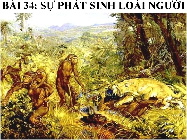 BÀI 34: SỰ PHÁT SINH LOÀI NGƯỜI 