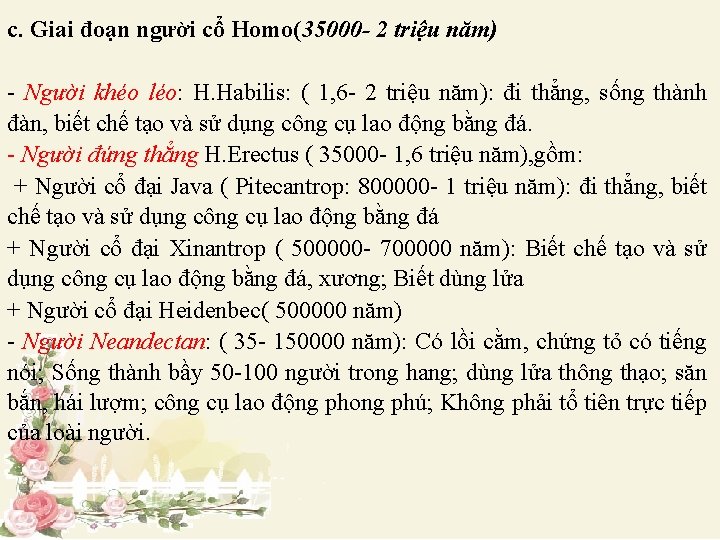 c. Giai đoạn người cổ Homo(35000 - 2 triệu năm) - Người khéo léo: