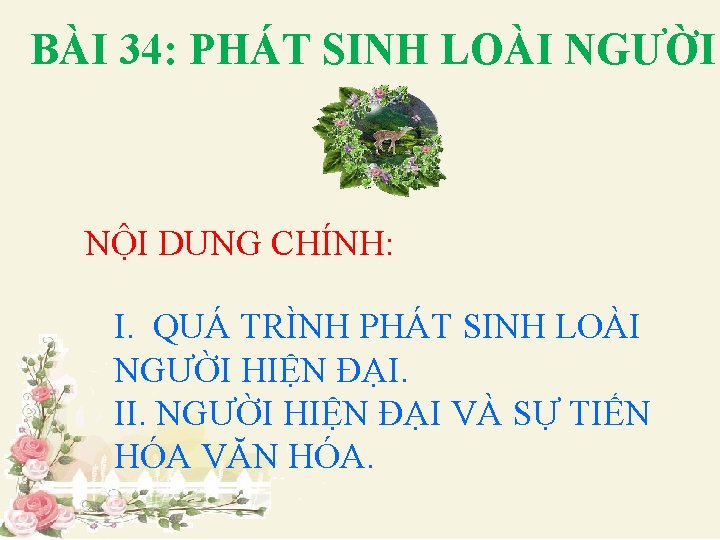 BÀI 34: PHÁT SINH LOÀI NGƯỜI BÀI 34 SỰ PHÁT SINH LOÀI NGƯỜI NỘI