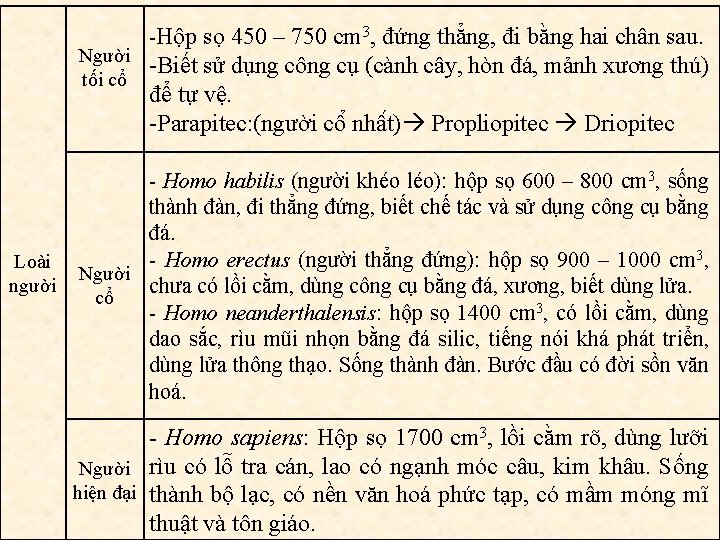 -Hộp sọ 450 – 750 cm 3, đứng thẳng, đi bằng hai chân sau.