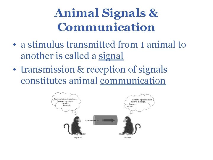 Animal Signals & Communication • a stimulus transmitted from 1 animal to another is