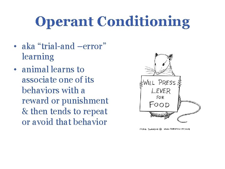 Operant Conditioning • aka “trial-and –error” learning • animal learns to associate one of