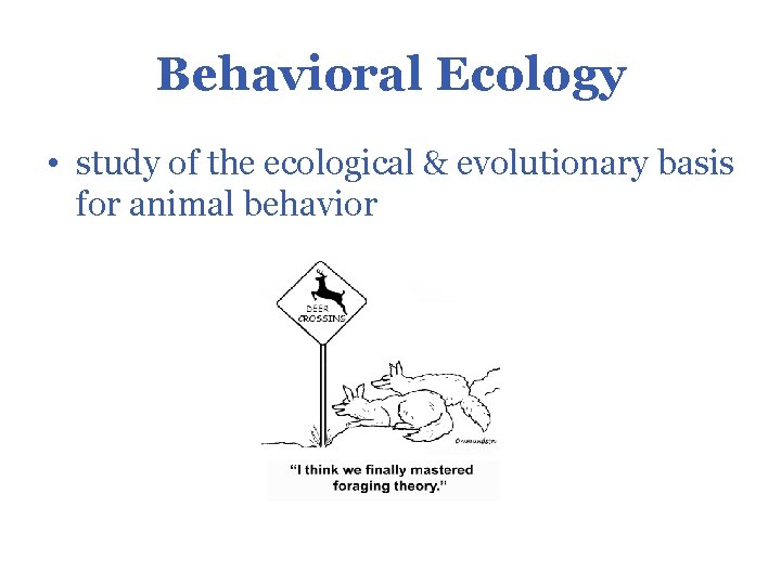 Behavioral Ecology • study of the ecological & evolutionary basis for animal behavior 