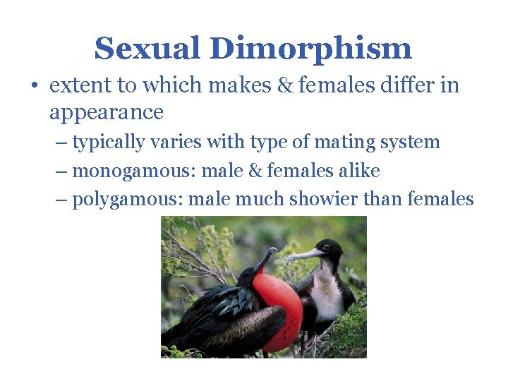 Sexual Dimorphism • extent to which makes & females differ in appearance – typically