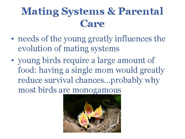 Mating Systems & Parental Care • needs of the young greatly influences the evolution