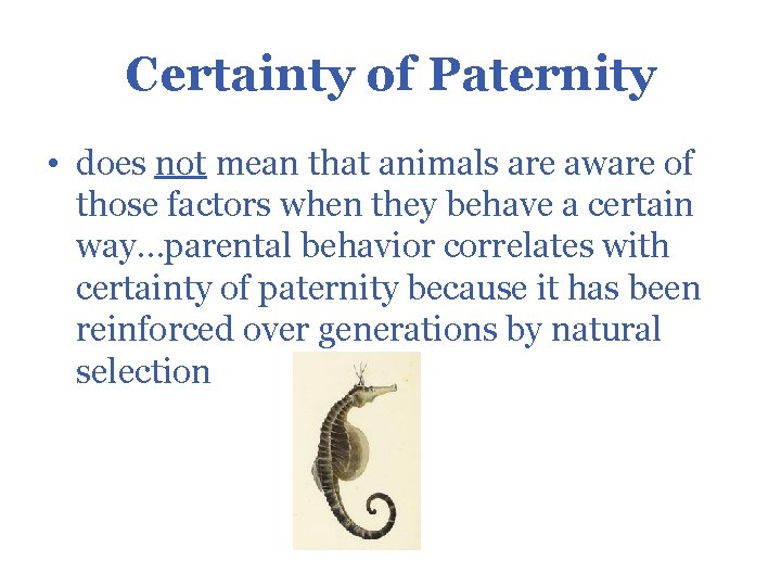 Certainty of Paternity • does not mean that animals are aware of those factors