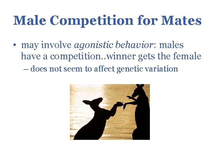Male Competition for Mates • may involve agonistic behavior: males have a competition. .