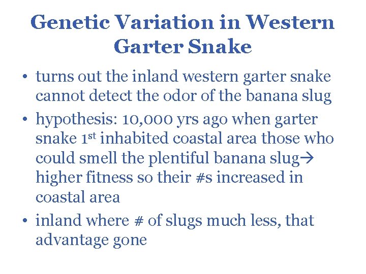 Genetic Variation in Western Garter Snake • turns out the inland western garter snake