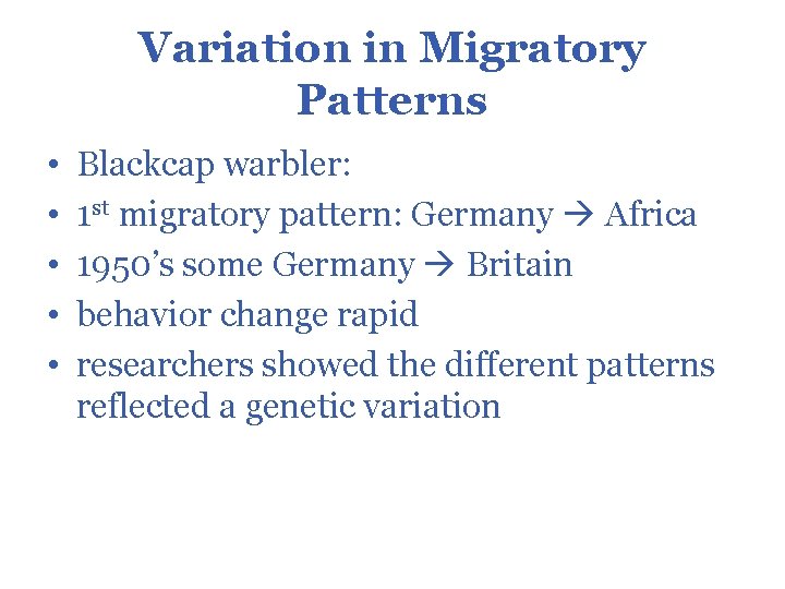 Variation in Migratory Patterns • • • Blackcap warbler: 1 st migratory pattern: Germany