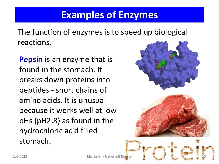 Examples of Enzymes The function of enzymes is to speed up biological reactions. Pepsin
