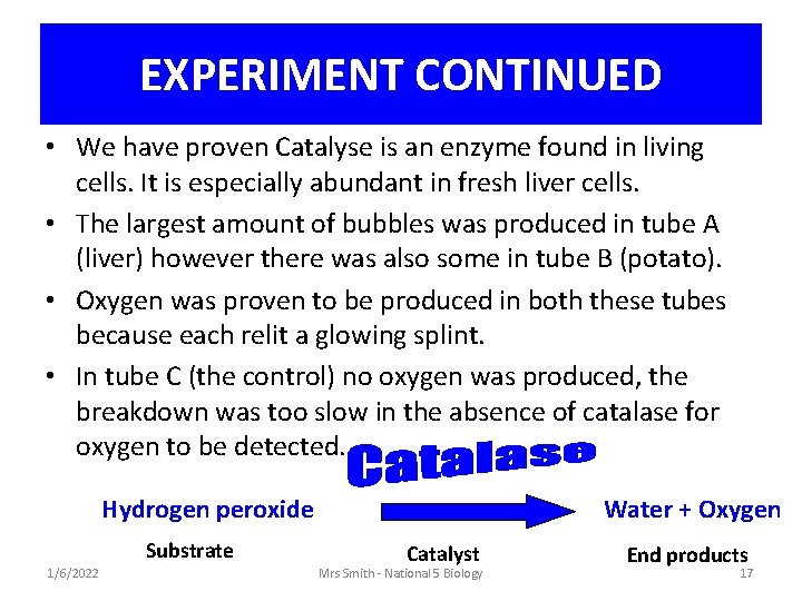 EXPERIMENT CONTINUED • We have proven Catalyse is an enzyme found in living cells.