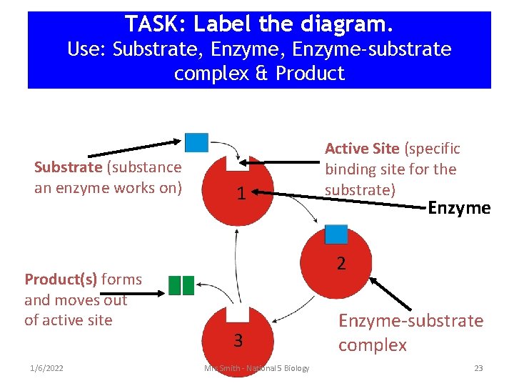 TASK: Label the diagram. Use: Substrate, Enzyme-substrate complex & Product Substrate (substance an enzyme