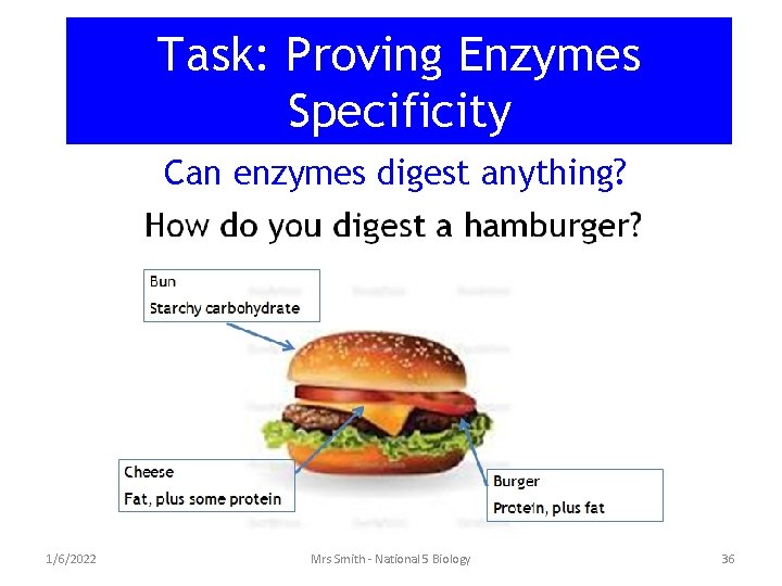 Task: Proving Enzymes Specificity Can enzymes digest anything? 1/6/2022 Mrs Smith - National 5