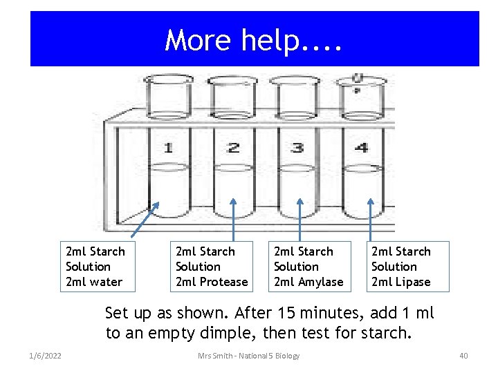 More help. . 2 ml Starch Solution 2 ml water 2 ml Starch Solution