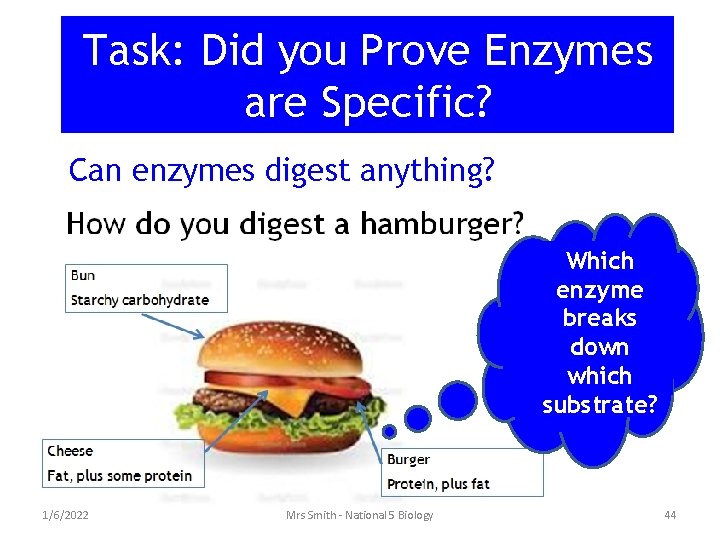Task: Did you Prove Enzymes are Specific? Can enzymes digest anything? Which enzyme breaks