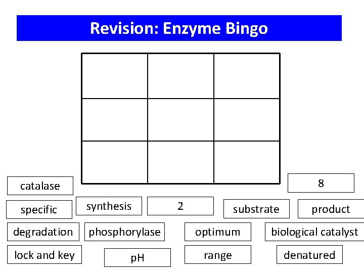Revision: Enzyme Bingo 8 catalase specific degradation lock and key synthesis phosphorylase p. H