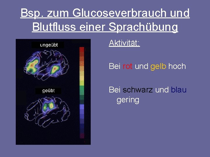 Bsp. zum Glucoseverbrauch und Blutfluss einer Sprachübung Aktivität: Bei rot und gelb hoch Bei
