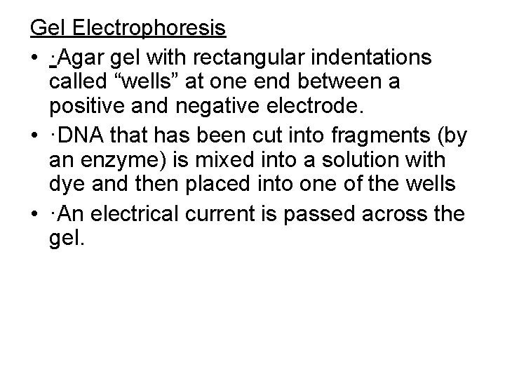 Gel Electrophoresis • ·Agar gel with rectangular indentations called “wells” at one end between