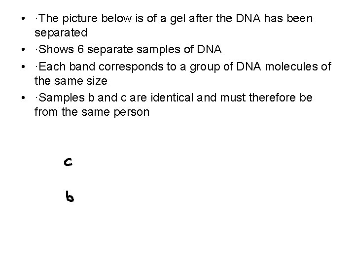  • ·The picture below is of a gel after the DNA has been