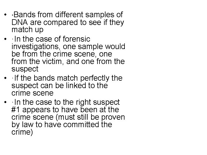  • ·Bands from different samples of DNA are compared to see if they