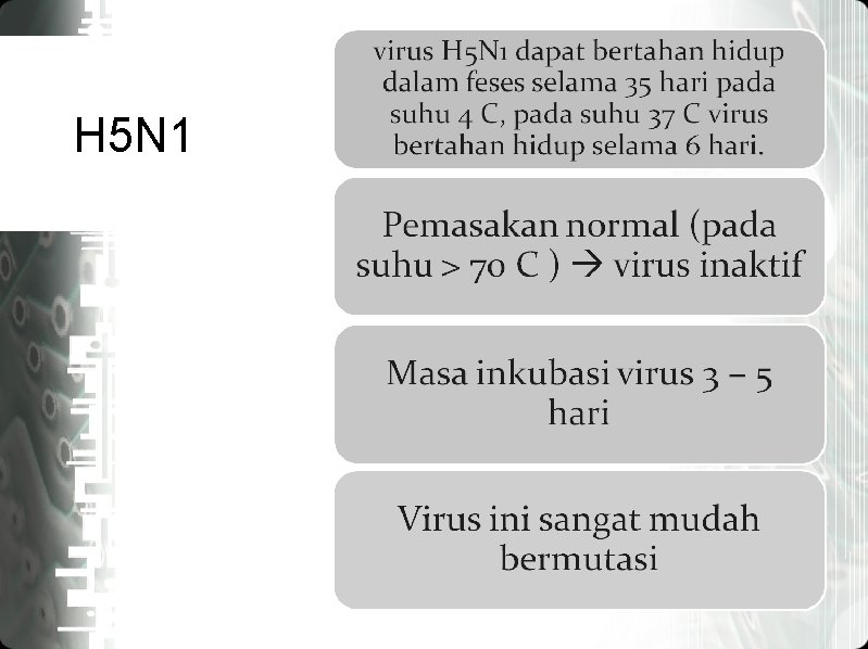 H 5 N 1 