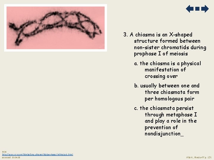 3. A chiasma is an X-shaped structure formed between non-sister chromatids during prophase I