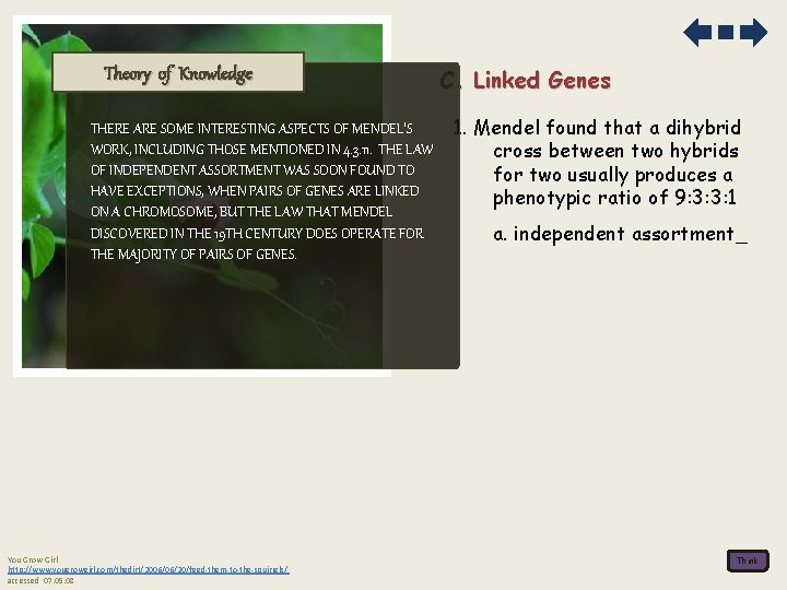 Theory of Knowledge THERE ARE SOME INTERESTING ASPECTS OF MENDEL’S WORK, INCLUDING THOSE MENTIONED
