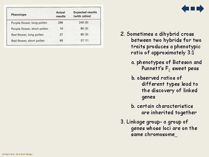 2. Sometimes a dihybrid cross between two hybrids for two traits produces a phenotypic