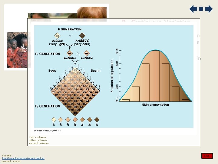 B. Continuous Variation 1. Polygenic inheritance can contribute to continuous variation a. height and