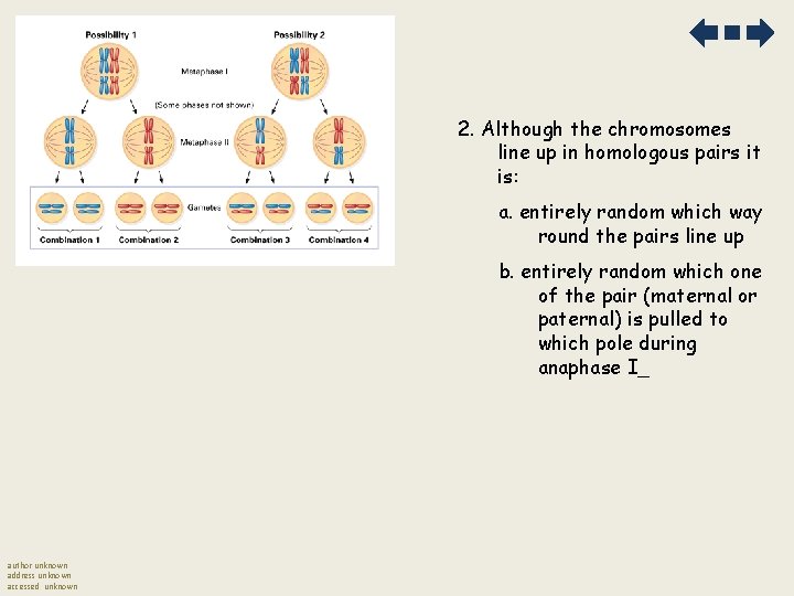 2. Although the chromosomes line up in homologous pairs it is: a. entirely random